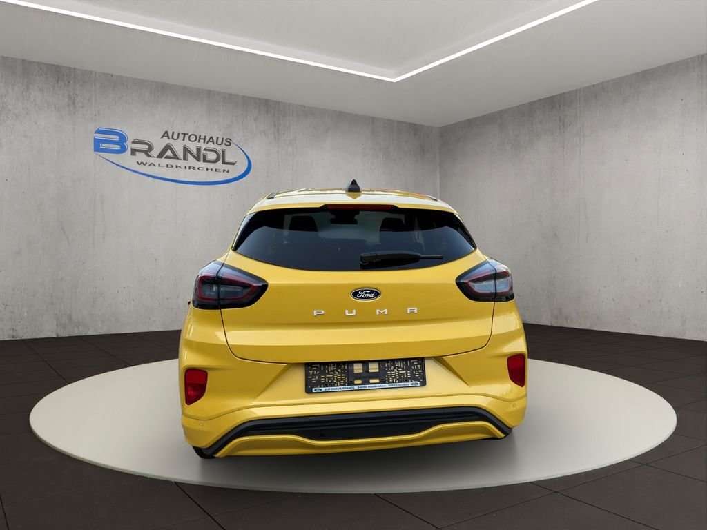 Fahrzeugbild eines Ford Puma