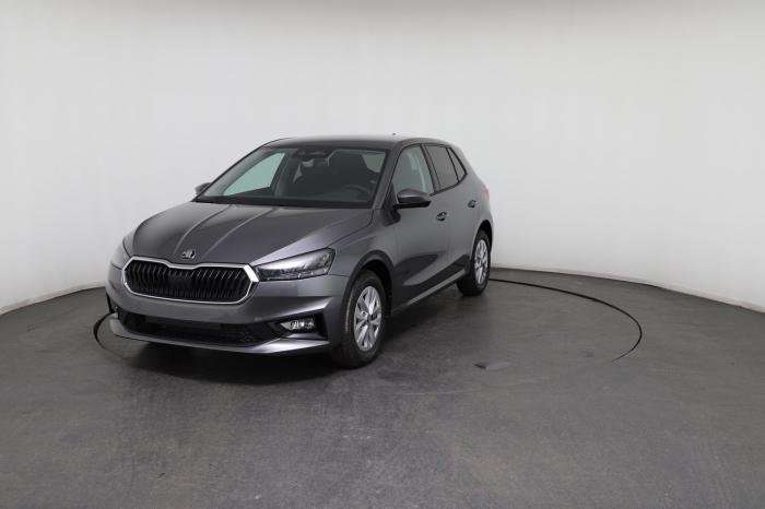 Fahrzeugbild eines Skoda Fabia