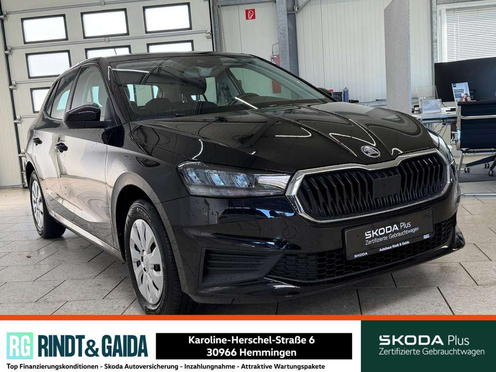 Fahrzeugbild eines Skoda Fabia