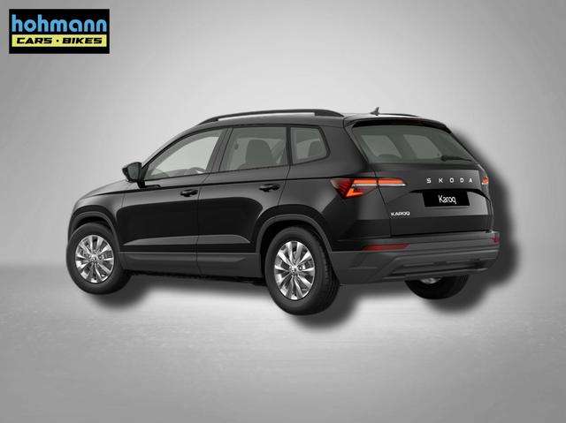 Fahrzeugbild eines Skoda Karoq