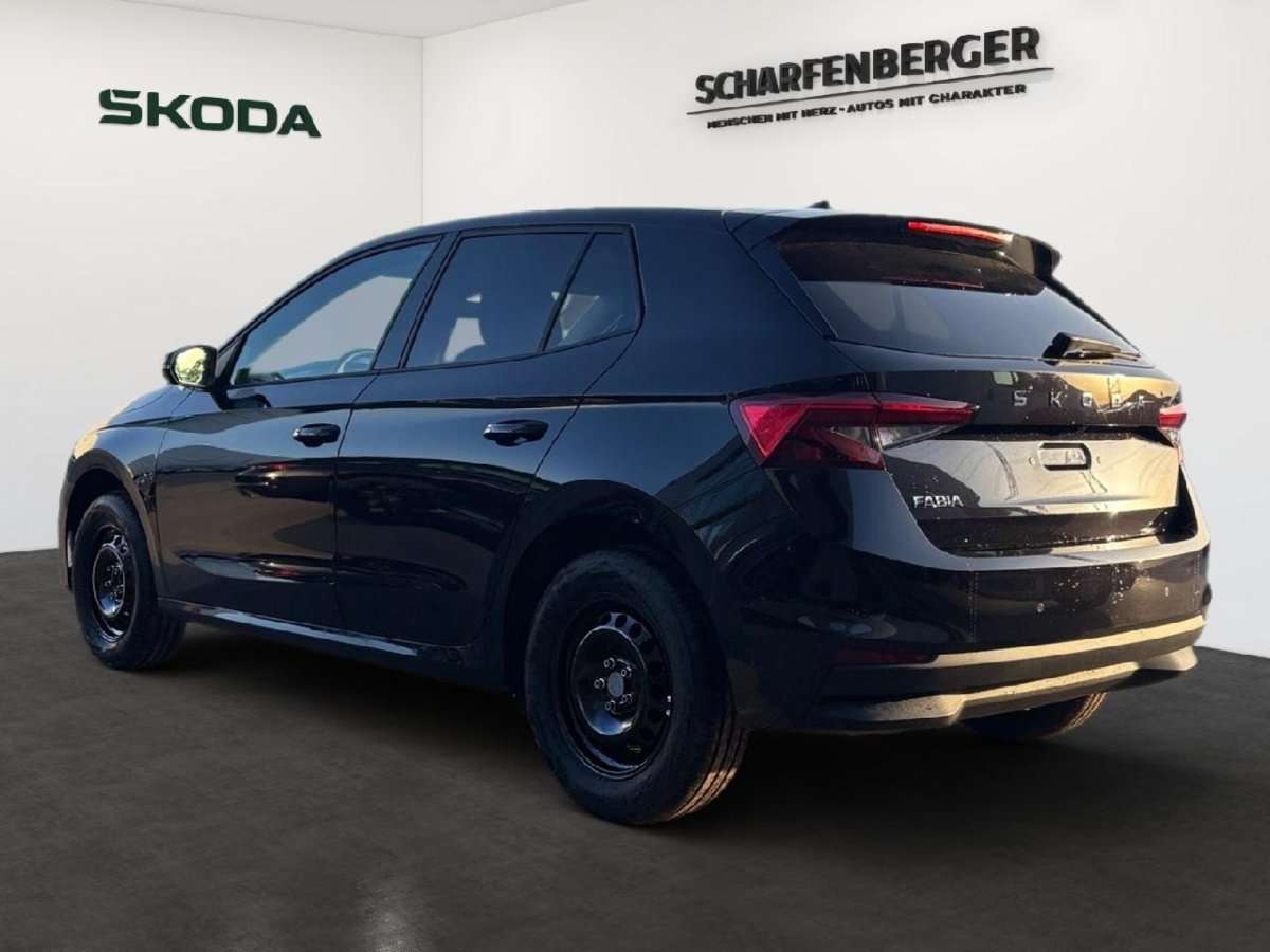 Fahrzeugbild eines Skoda Fabia