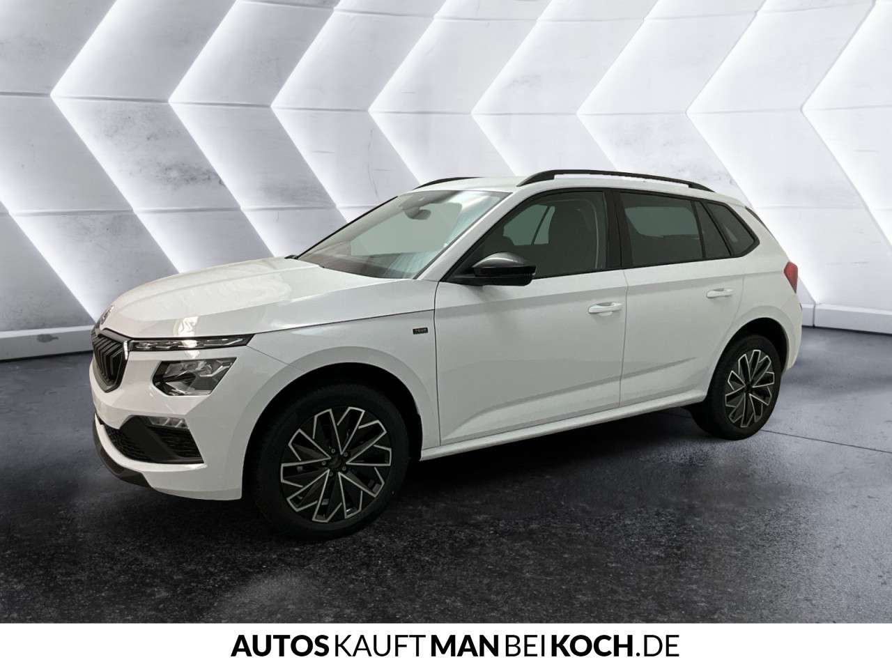 Fahrzeugbild eines Skoda Kamiq