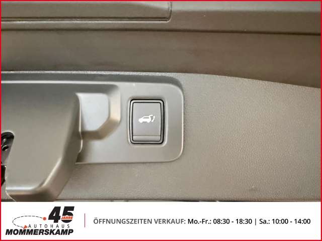 Fahrzeugbild eines Mitsubishi Grandis