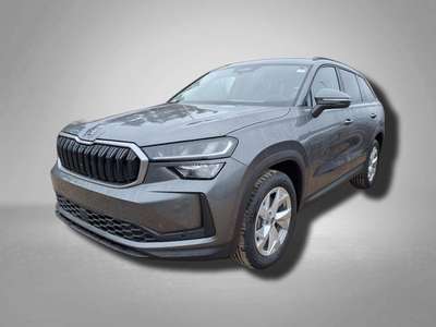 Bild Skoda Kodiaq