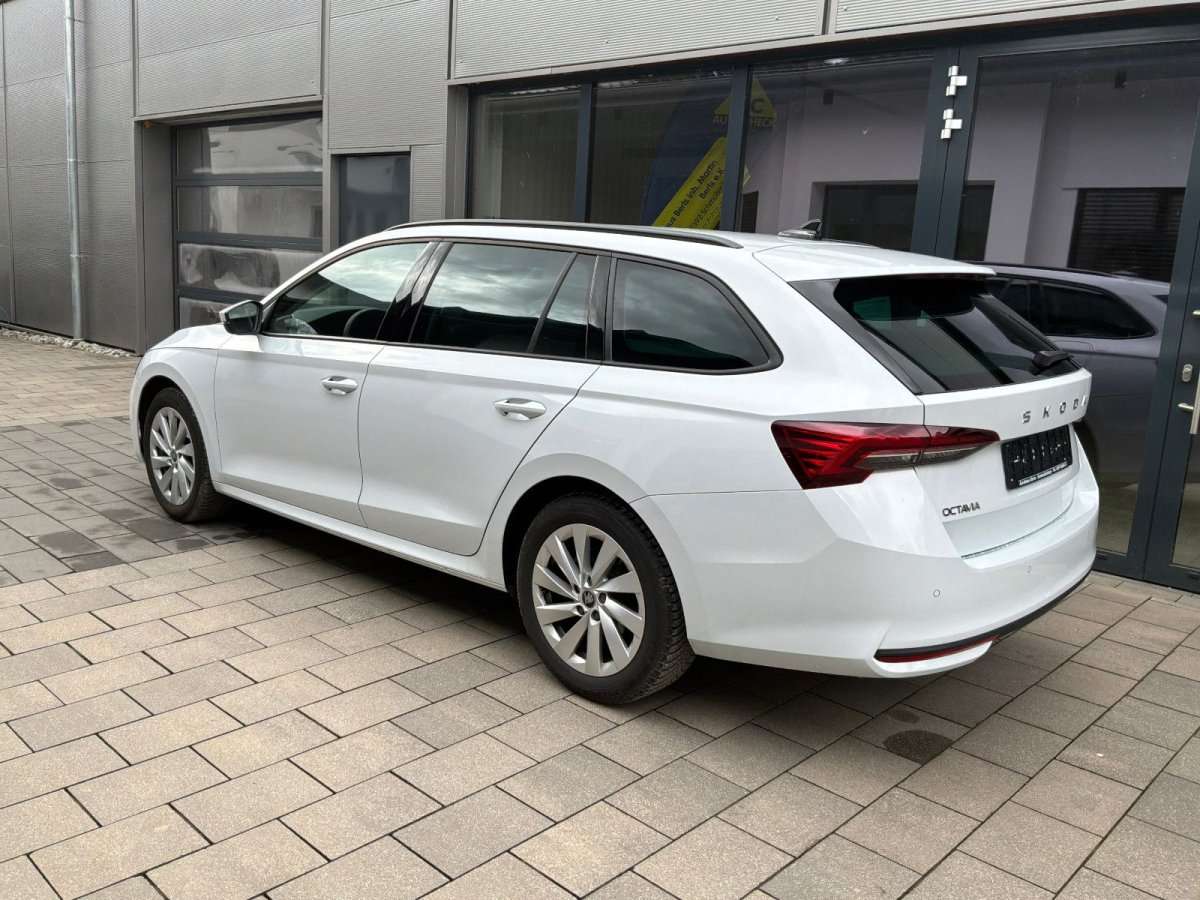 Fahrzeugbild eines Skoda Octavia