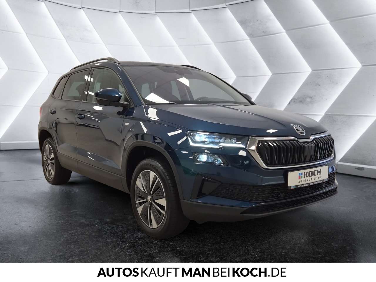 Fahrzeugbild eines Skoda Karoq