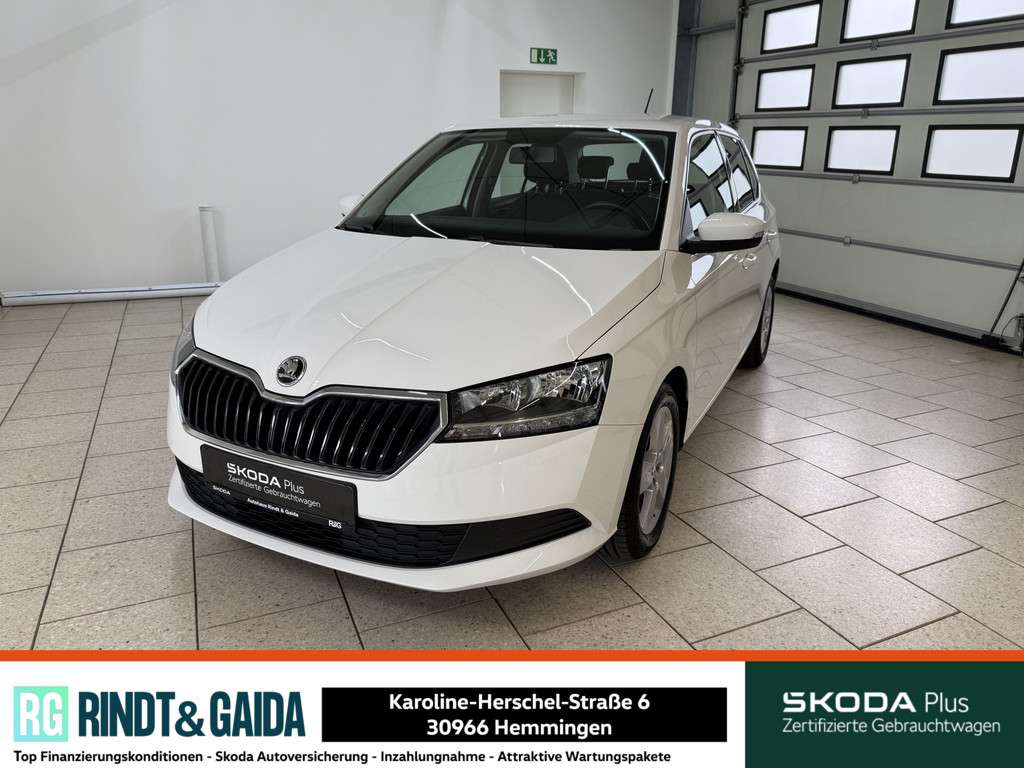 Fahrzeugbild eines Skoda Fabia