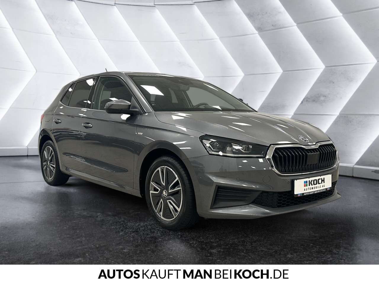 Fahrzeugbild eines Skoda Fabia