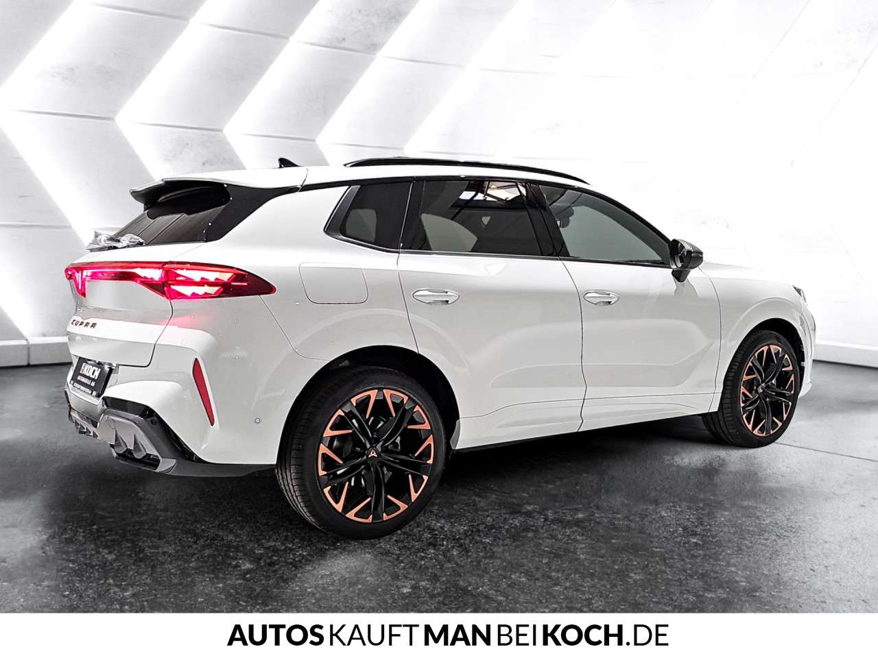 Fahrzeugbild eines CUPRA Terramar