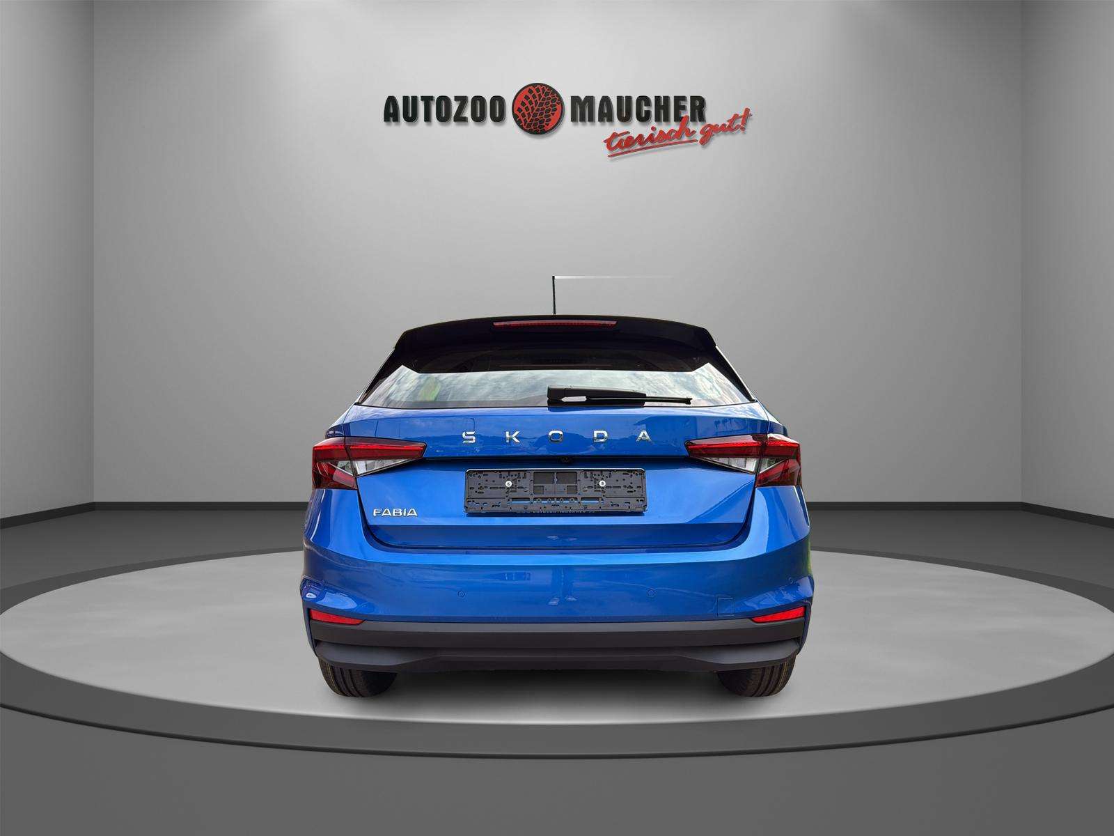 Fahrzeugbild eines Skoda Fabia