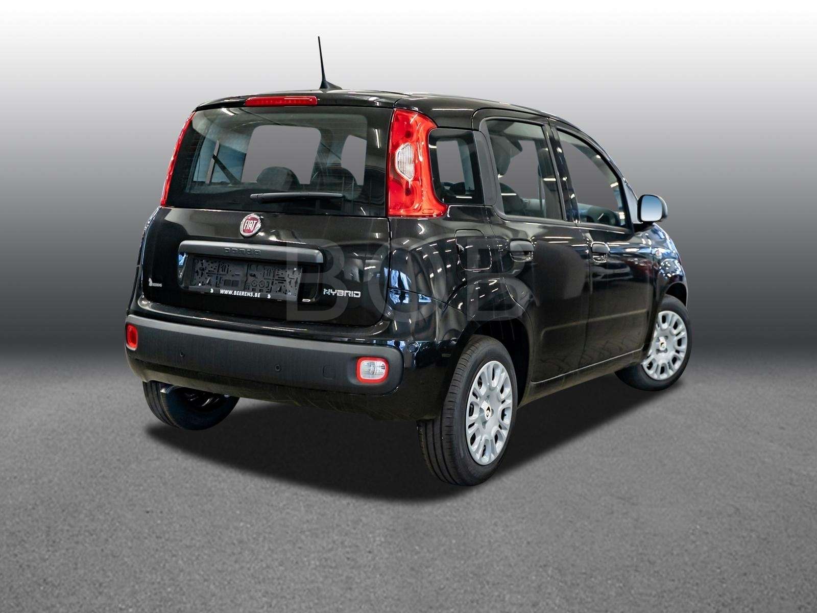 Fahrzeugbild eines Fiat Panda