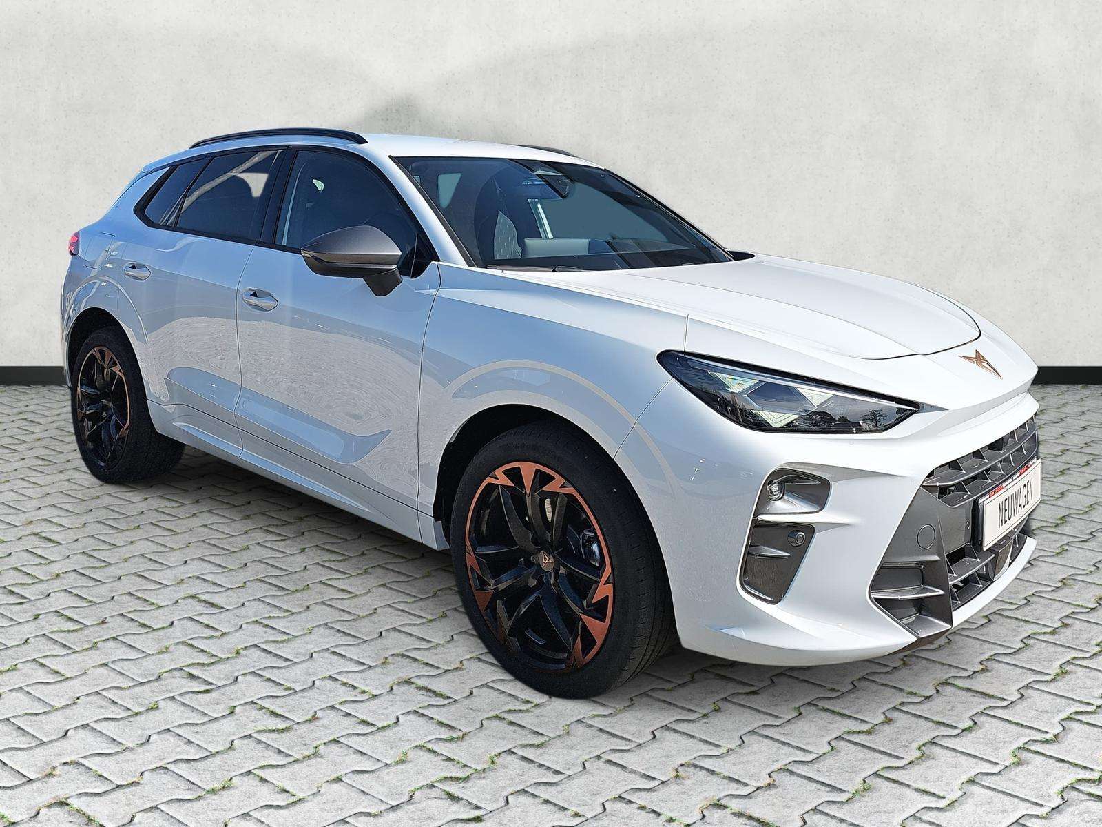 Fahrzeugbild eines CUPRA Terramar