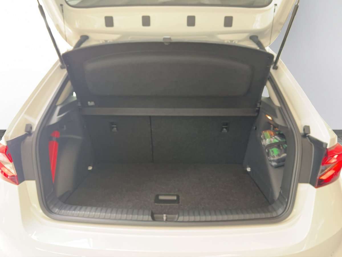 Fahrzeugbild eines Skoda Fabia