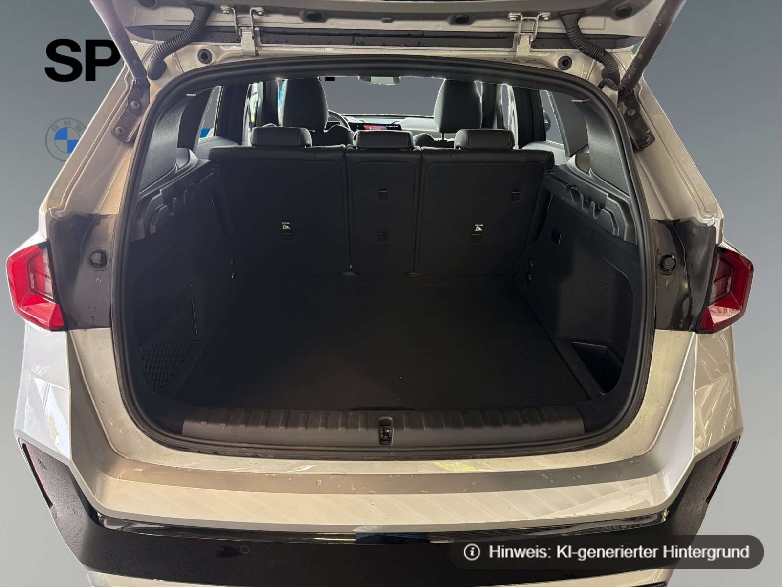 Fahrzeugbild eines BMW iX1