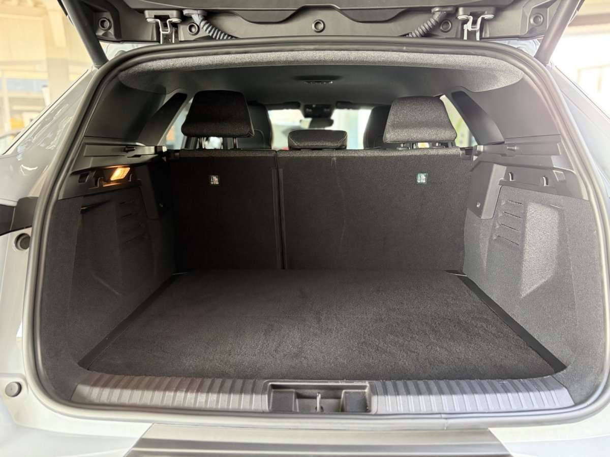 Fahrzeugbild eines Renault Symbioz