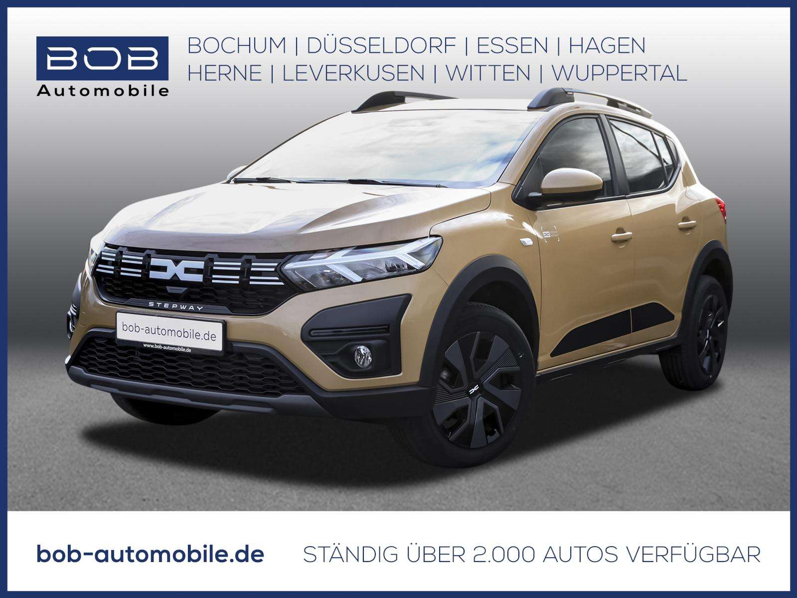 Fahrzeugbild eines Dacia Sandero
