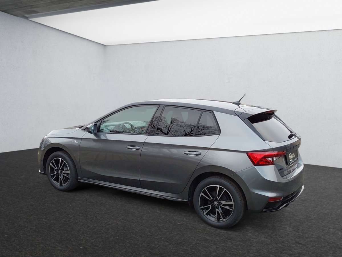 Fahrzeugbild eines Skoda Fabia