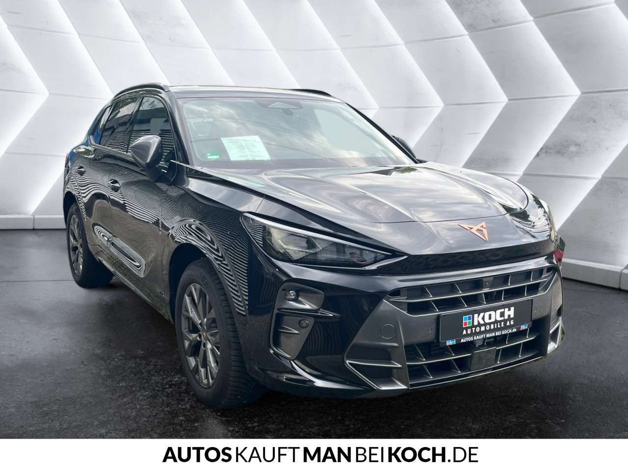 Fahrzeugbild eines CUPRA Terramar