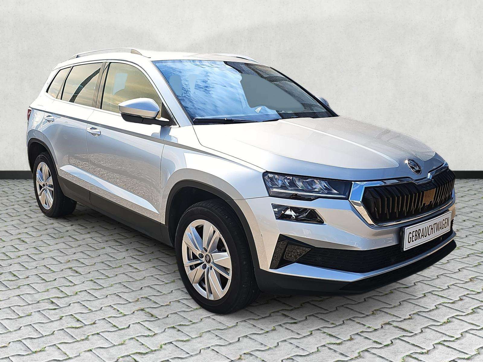 Fahrzeugbild eines Skoda Karoq