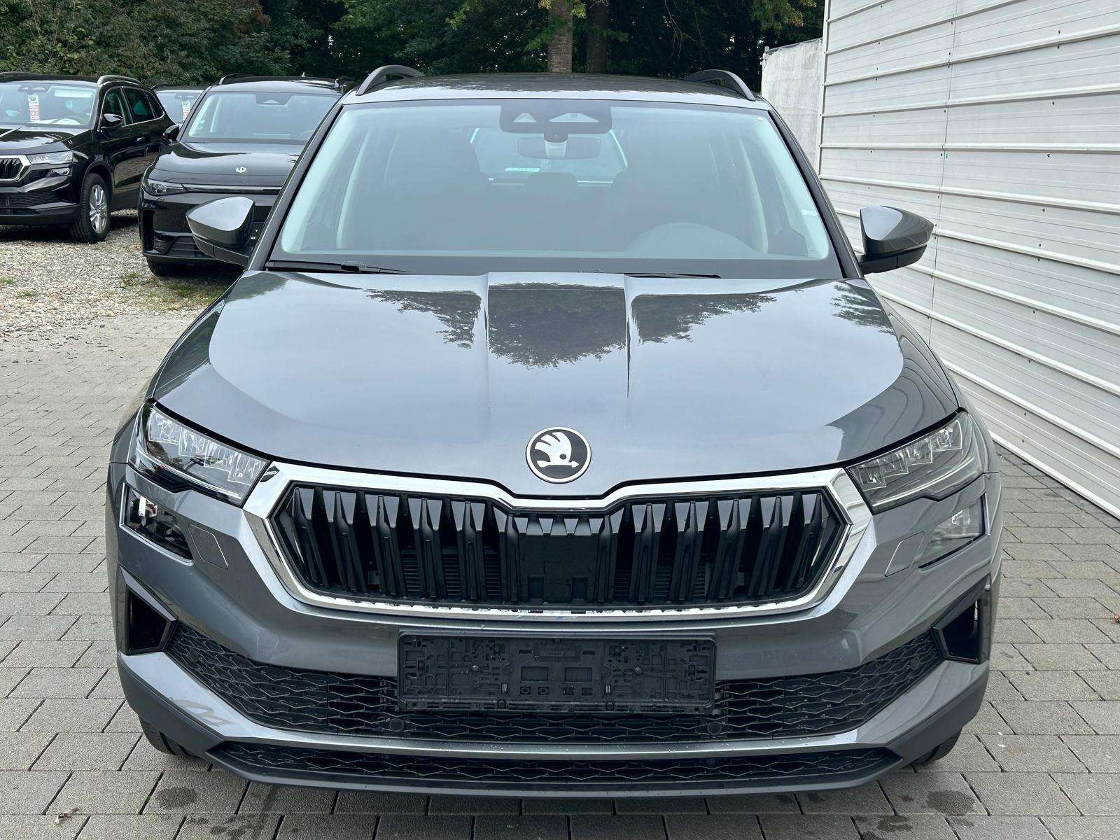 Fahrzeugbild eines Skoda Karoq