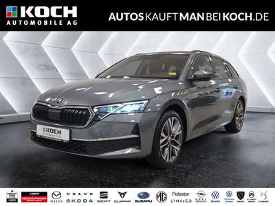 Bild Skoda Octavia