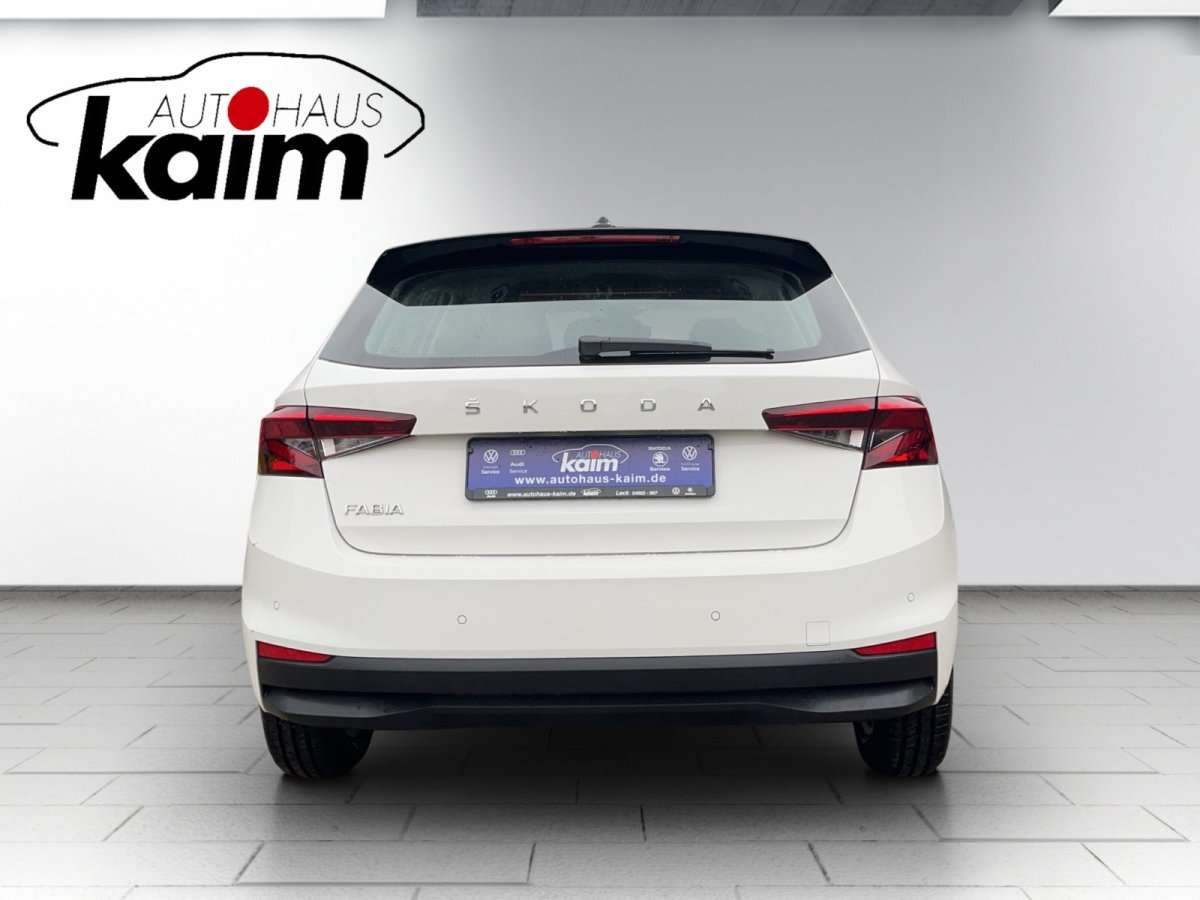 Fahrzeugbild eines Skoda Fabia