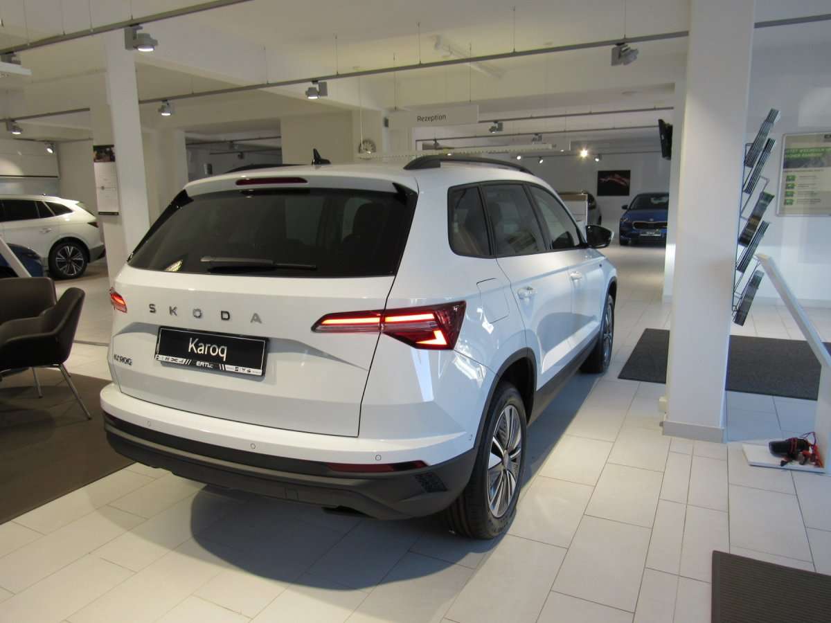 Fahrzeugbild eines Skoda Karoq