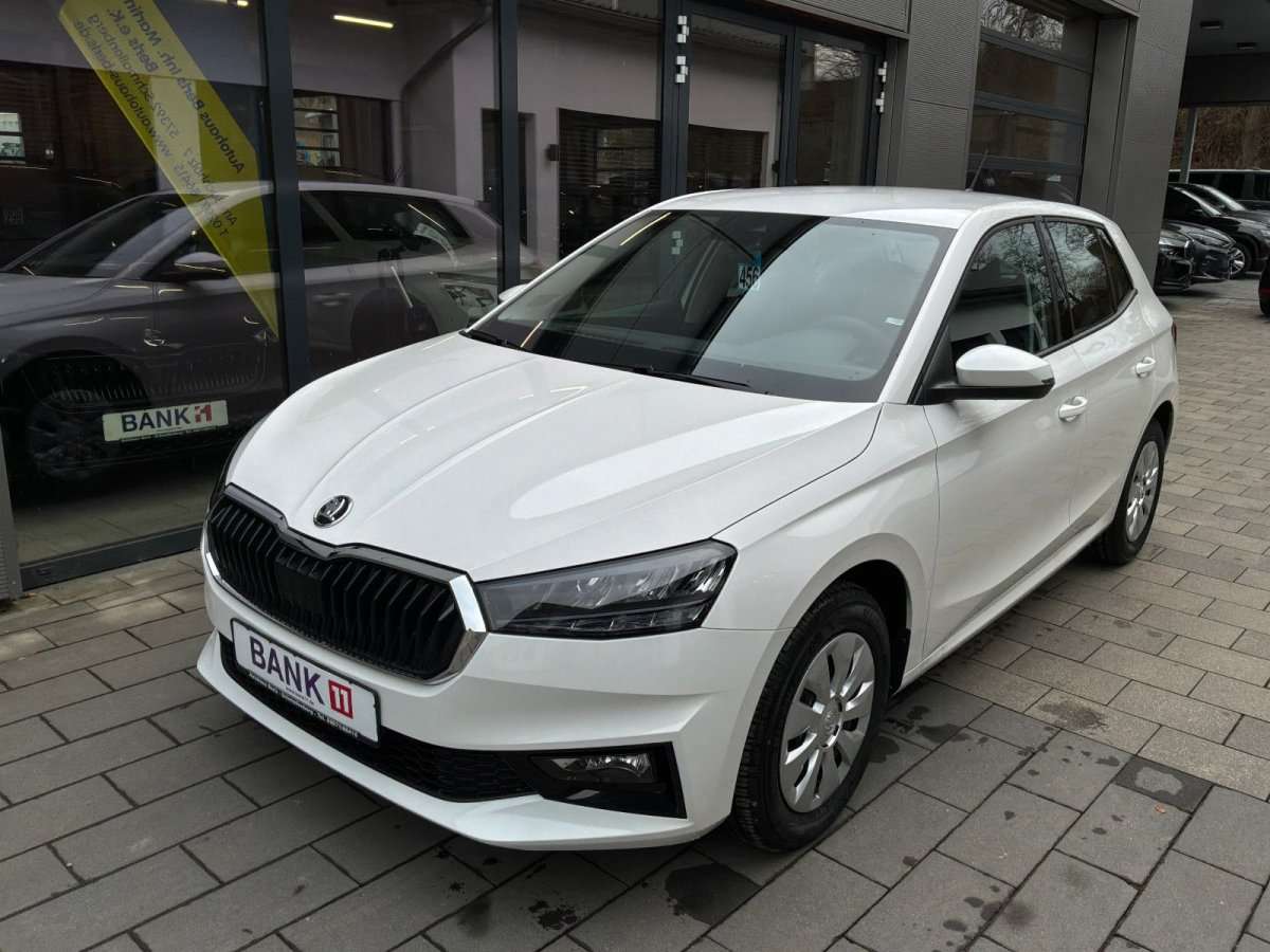 Fahrzeugbild eines Skoda Fabia