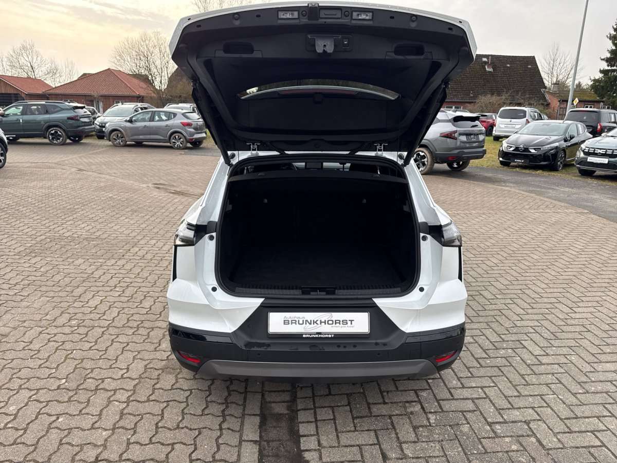 Fahrzeugbild eines Renault Symbioz