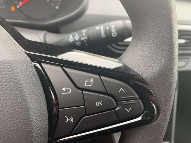 Fahrzeugbild eines Dacia Sandero