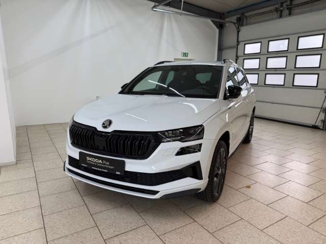 Fahrzeugbild eines Skoda Karoq