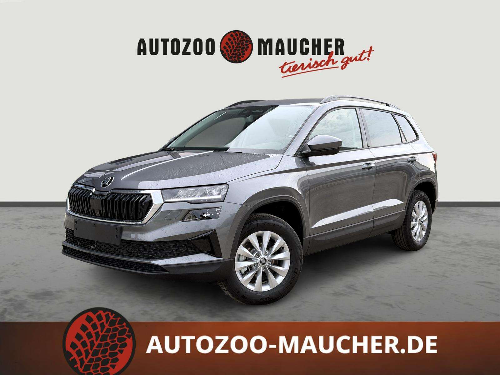 Fahrzeugbild eines Skoda Karoq