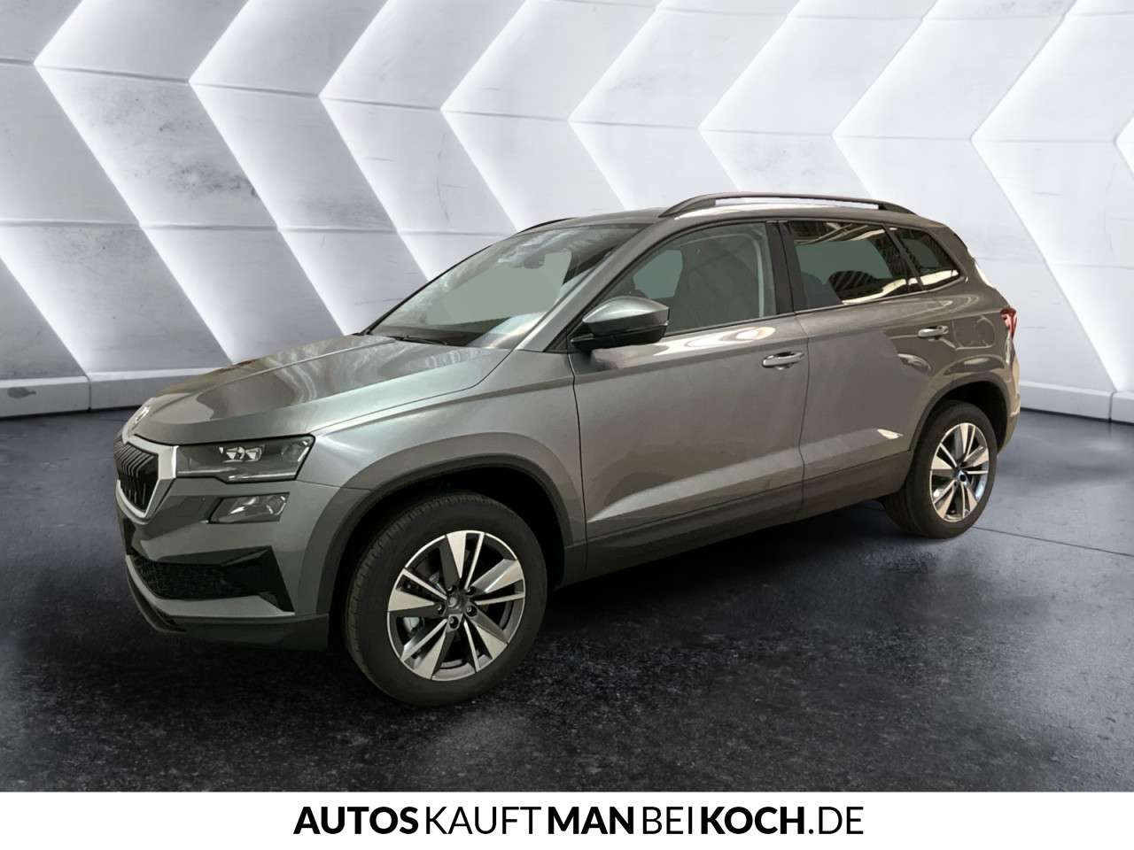 Fahrzeugbild eines Skoda Karoq
