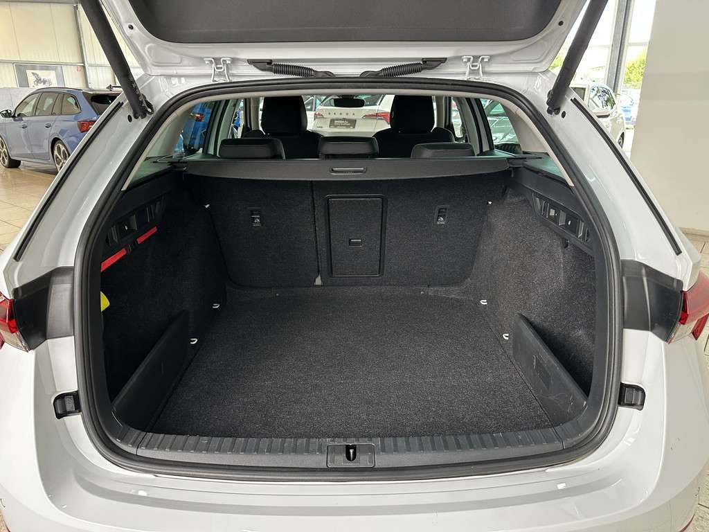 Fahrzeugbild eines Skoda Octavia