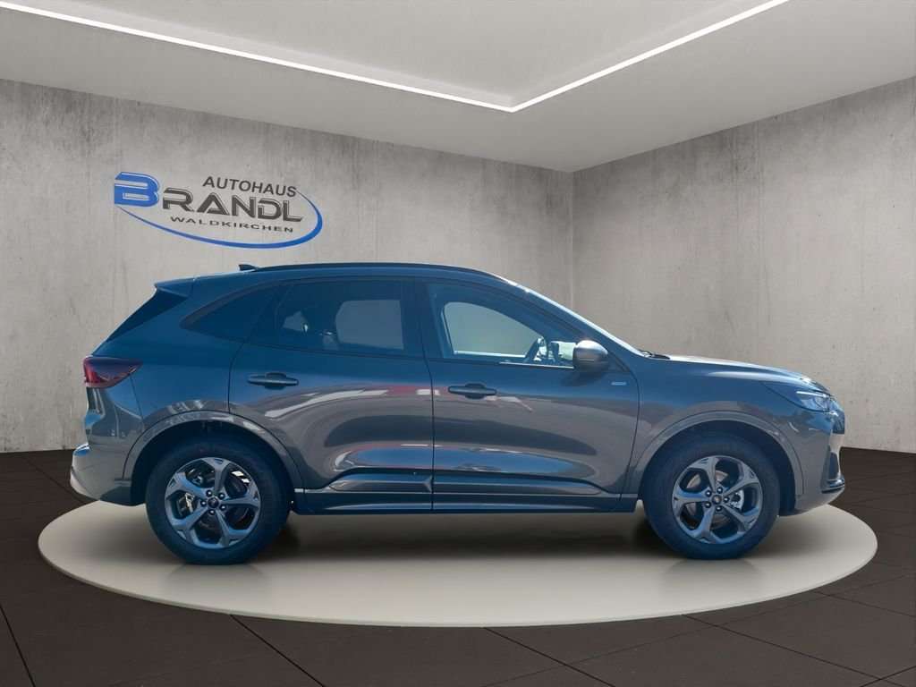 Fahrzeugbild eines Ford Kuga