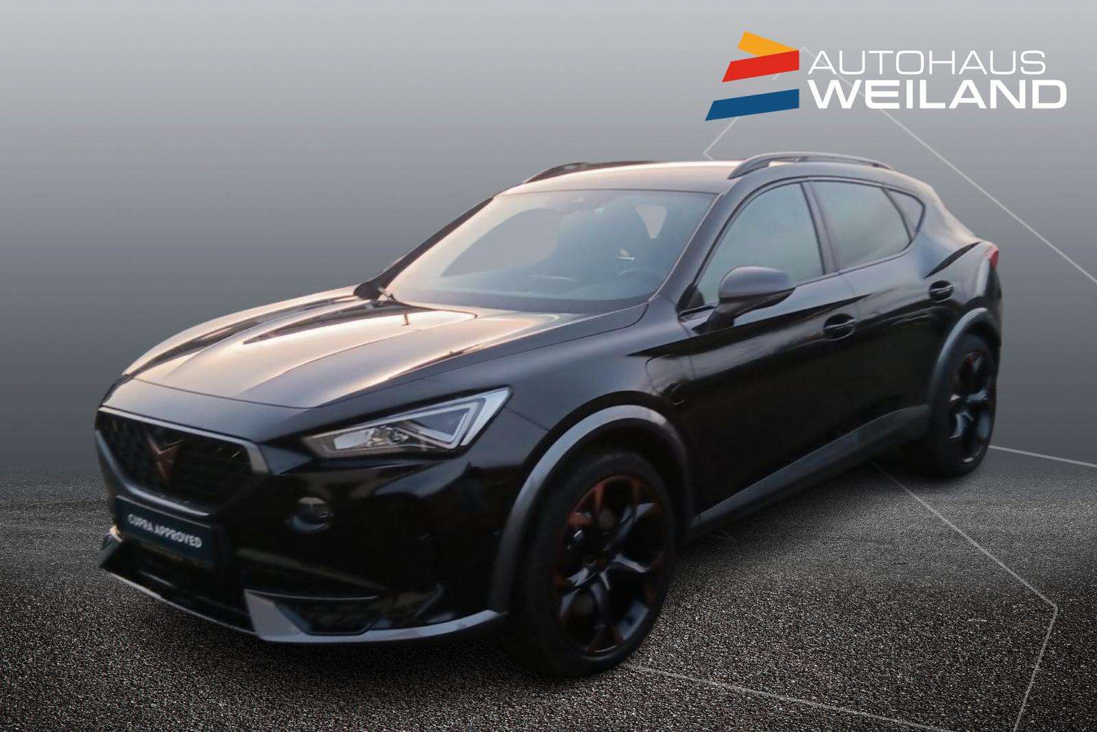 Fahrzeugbild eines CUPRA Formentor
