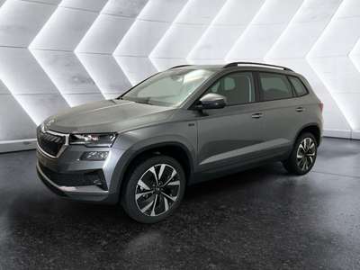 Bild Skoda Karoq