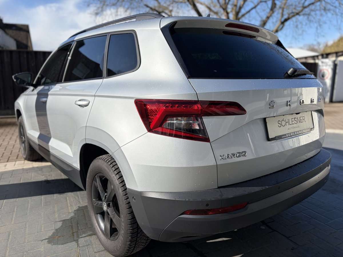 Fahrzeugbild eines Skoda Karoq
