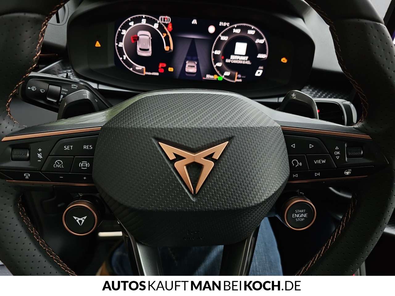 Fahrzeugbild eines CUPRA Terramar