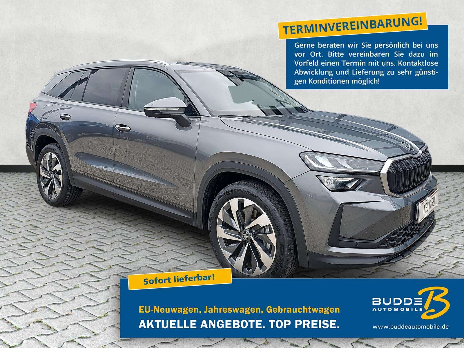 Fahrzeugbild eines Skoda Kodiaq