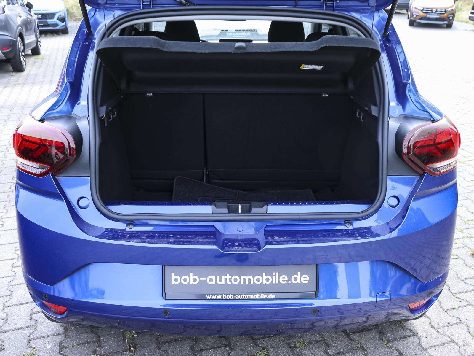 Fahrzeugbild eines Dacia Sandero