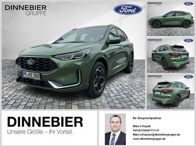 Bild Ford Kuga
