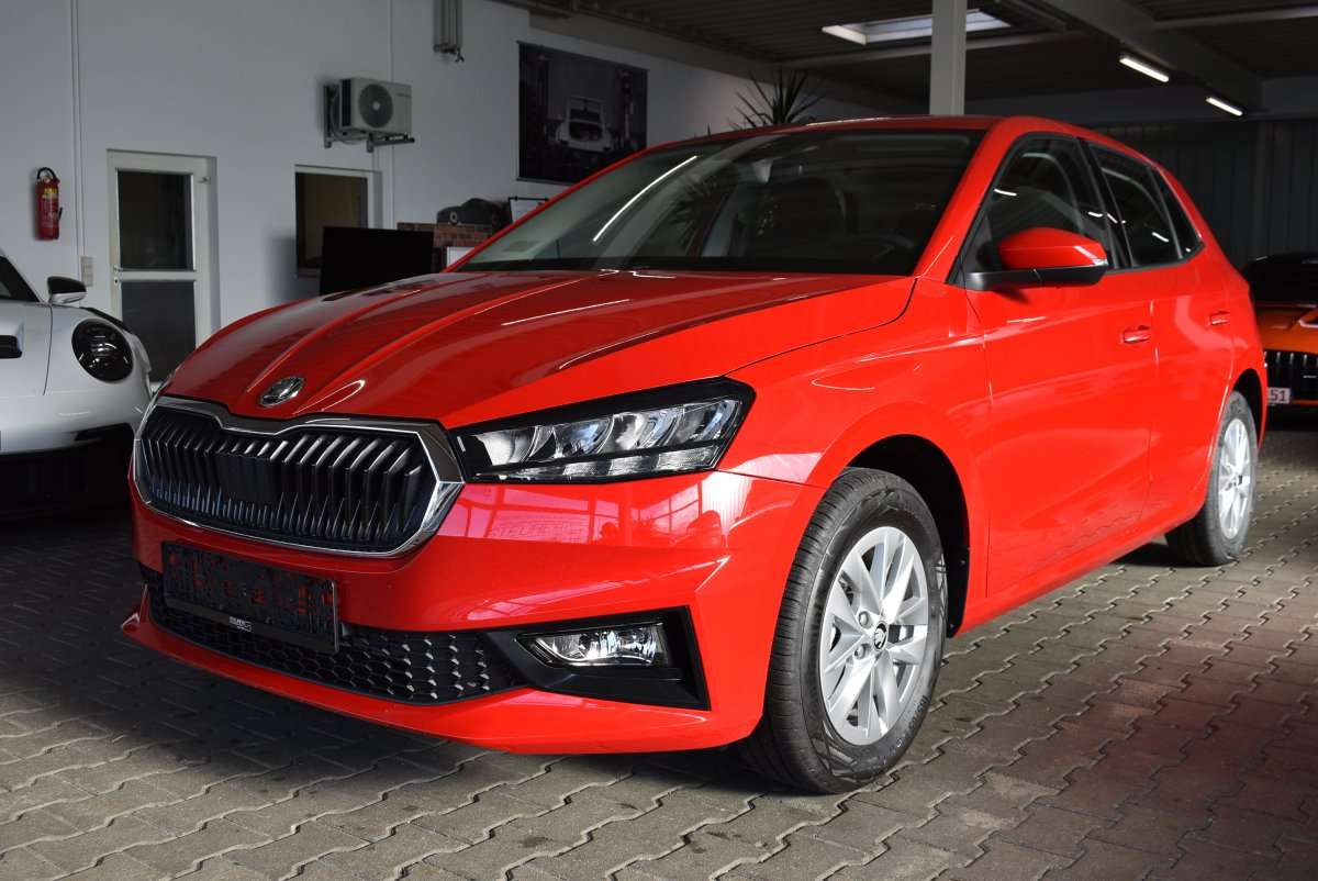 Fahrzeugbild eines Skoda Fabia