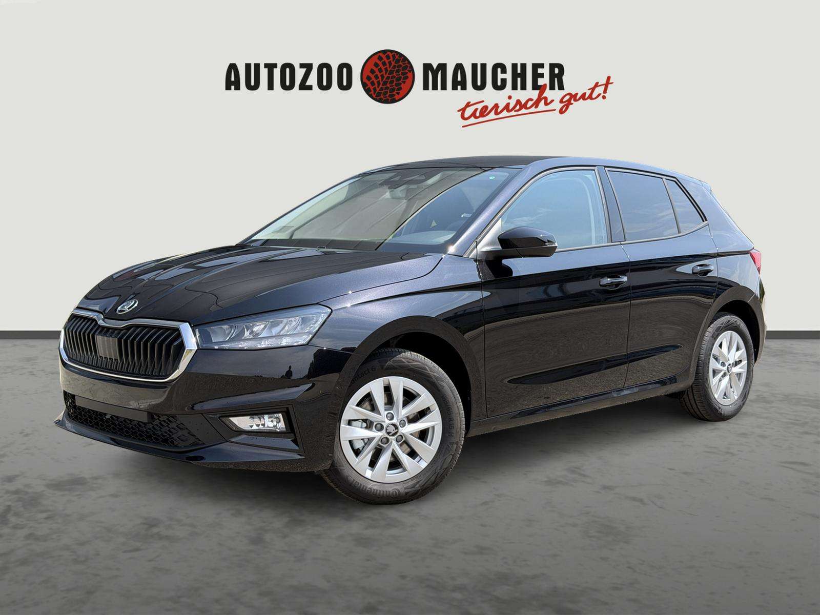 Fahrzeugbild eines Skoda Fabia