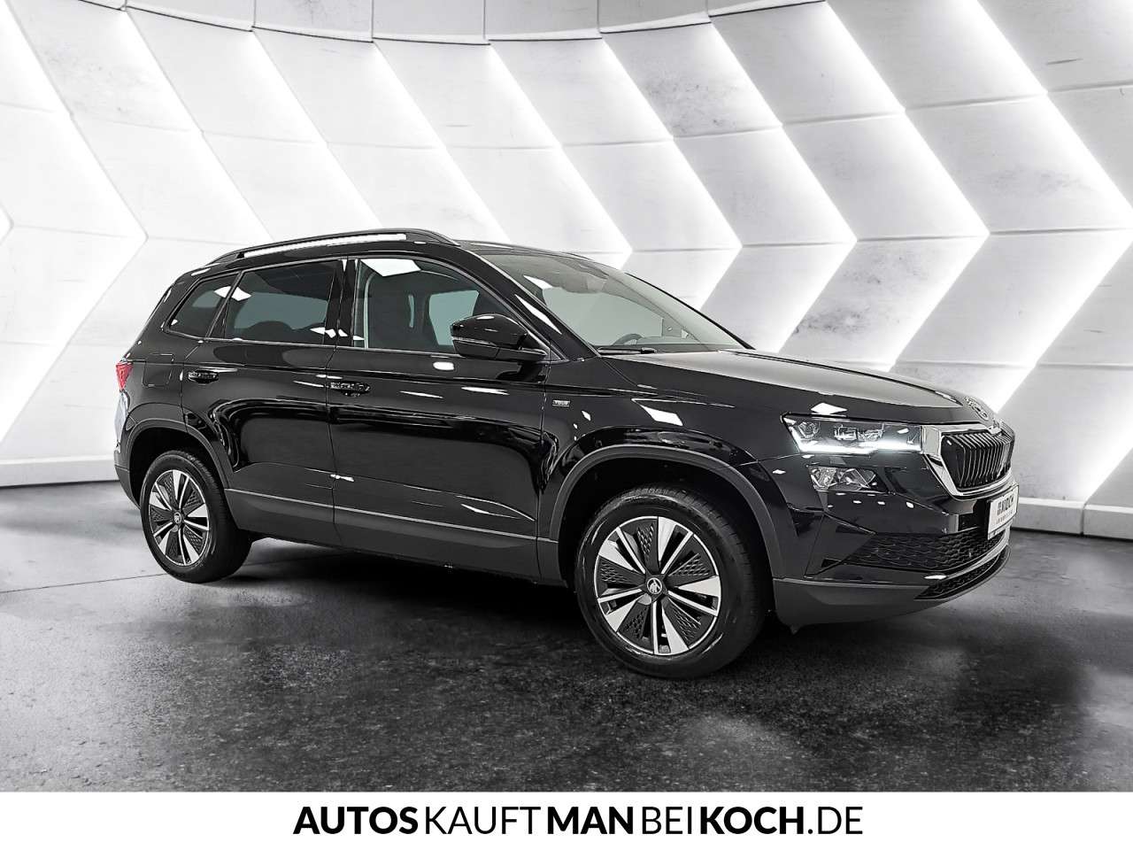 Fahrzeugbild eines Skoda Karoq