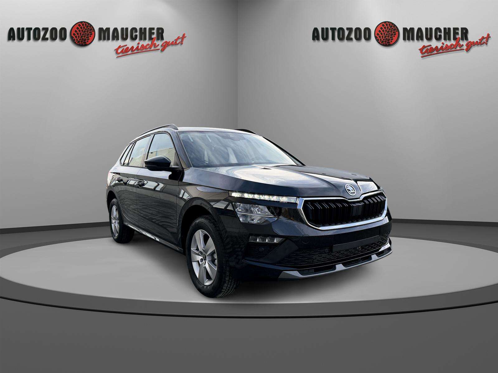 Fahrzeugbild eines Skoda Kamiq