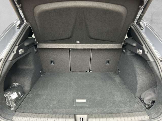 Fahrzeugbild eines CUPRA Terramar