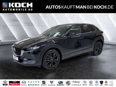 Bild Mazda CX-30