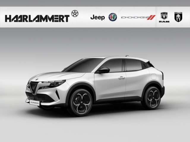 Fahrzeugbild eines Alfa Romeo Junior