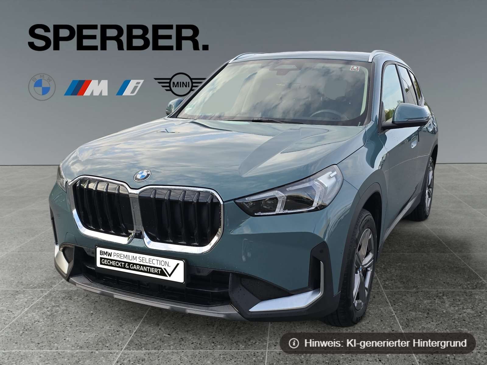 Fahrzeugbild eines BMW X1